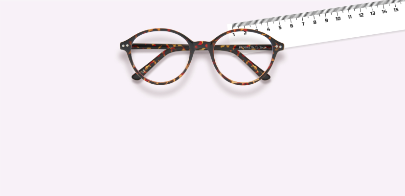Not sure what size?