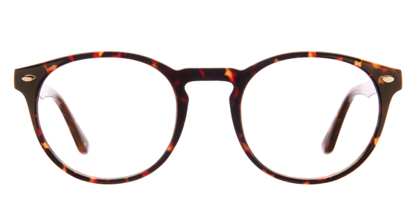 Prescription Sunglasses