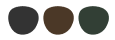 Select Polarised or Tint