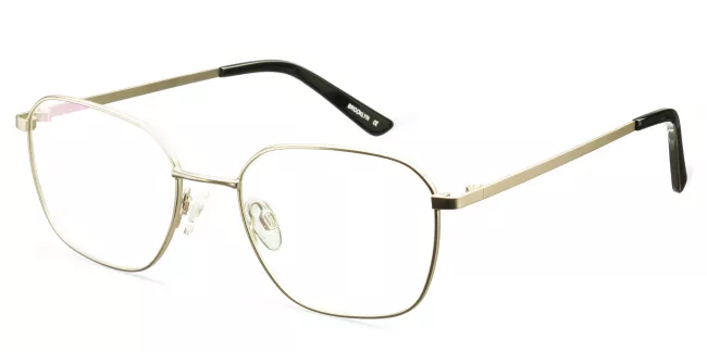 DS Collection Glasses Brooklyn D190